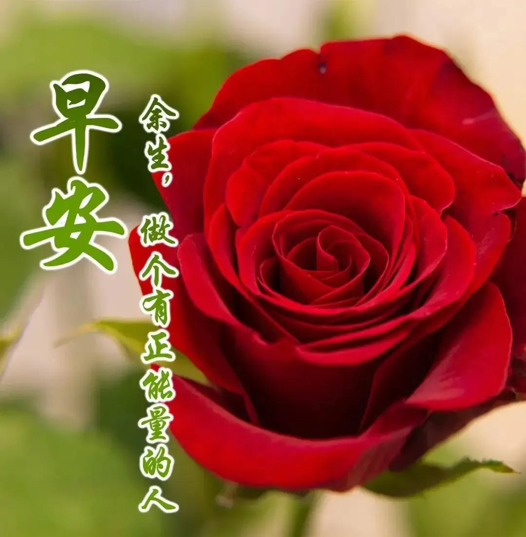 五月8号上班么/五月8号上班吗