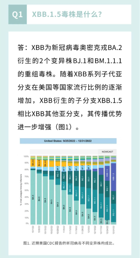 【已监测到16例xbb本土关联病例什么意思/已监测到16例xbb本土关联病例什么意思】