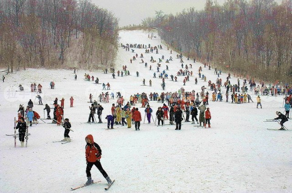 哈尔滨雪乡叫什么名字？揭秘中国雪乡的前世今生