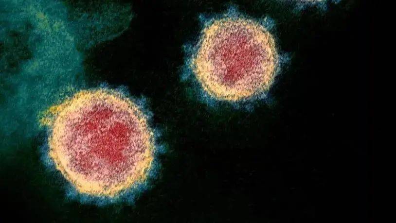 【新冠病毒现在到哪儿了,现在新型冠状病毒在哪里】 【新冠病毒现在到哪儿了,现在新型冠状病毒在哪里】