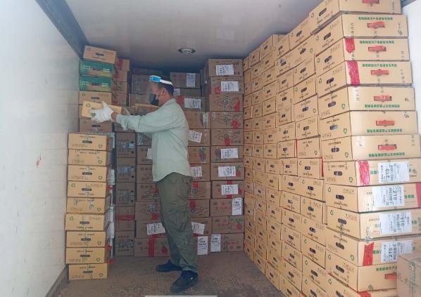 快递停运2025，邮政系统如何应对物流业的新挑战？