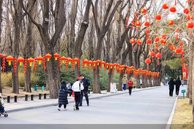 北京元旦公园，新年钟声里的都市绿洲