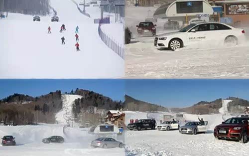 哈尔滨何时解封，冰雪消融中的等待与希望