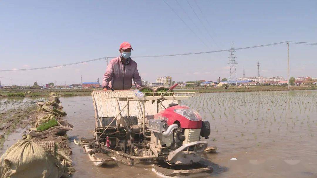 【舒兰现在什么情况/舒兰现在有没有疫情】