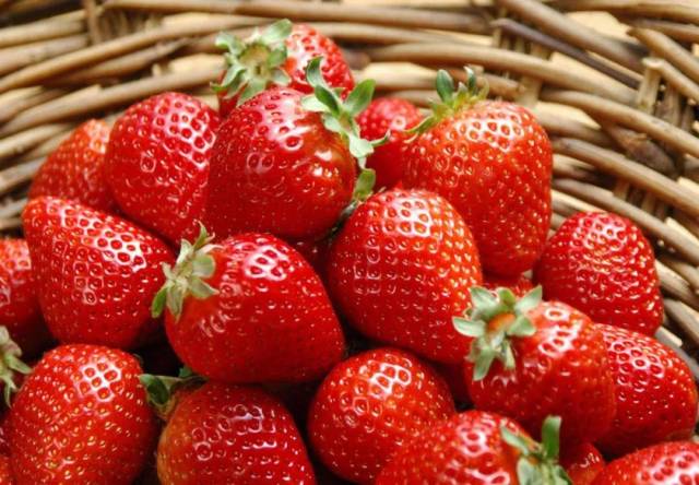 南昌周边采摘园(南昌周边摘草莓的地方) 南昌周边采摘园(南昌周边摘草莓的地方)