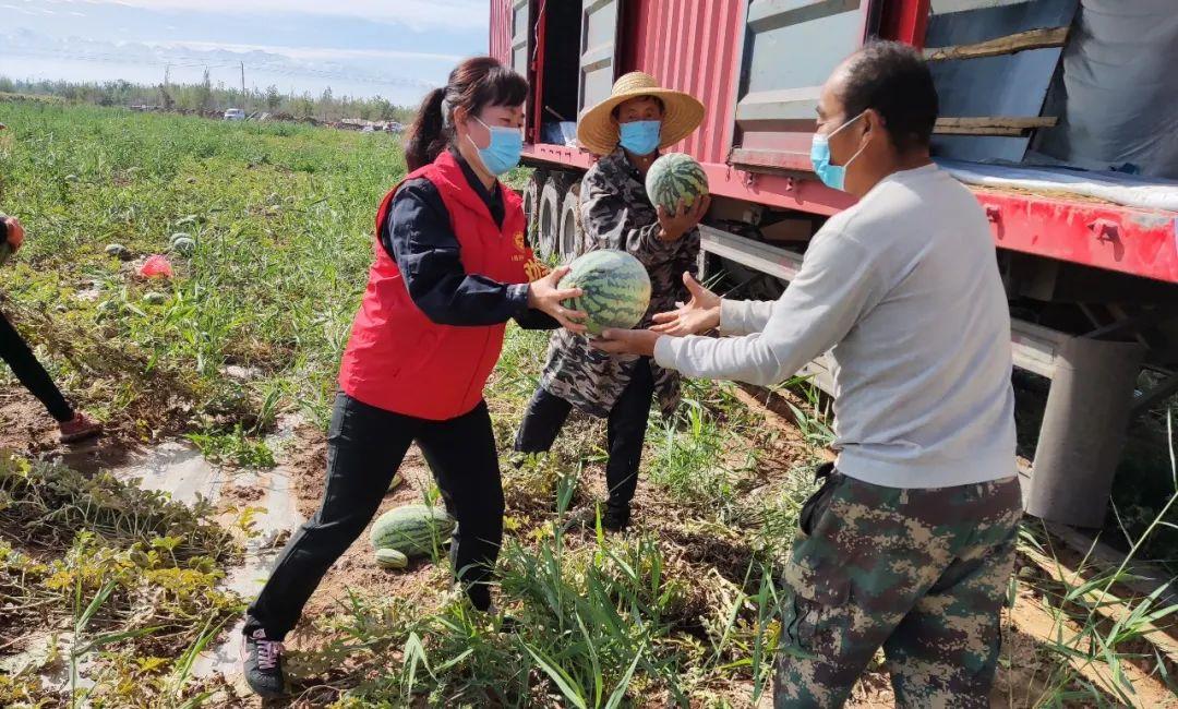 新疆对疆外游客疫情防控新政:新疆地区对外地来疆游客防疫政策