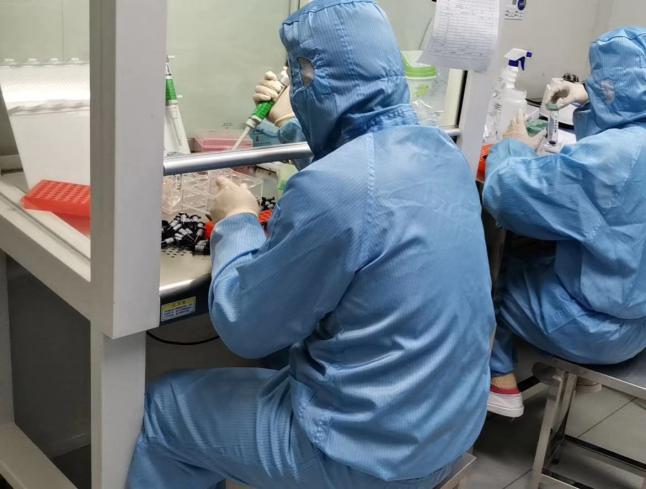 武汉发现不明原因肺炎病例新闻报道:武汉出现不明肺炎最新进展