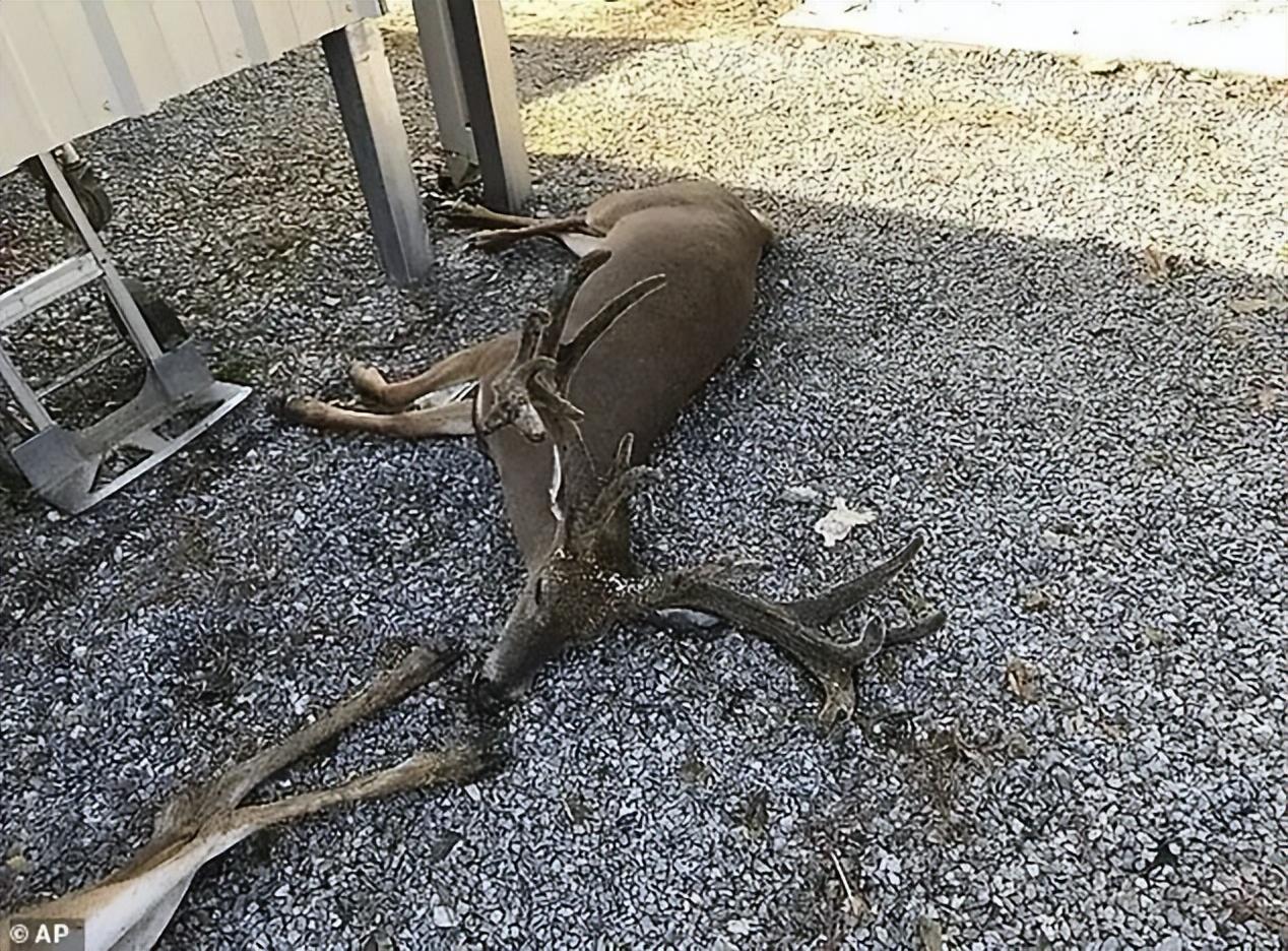 美国40年来最严重的乙型流感/美国乙型流感什么时候开始的