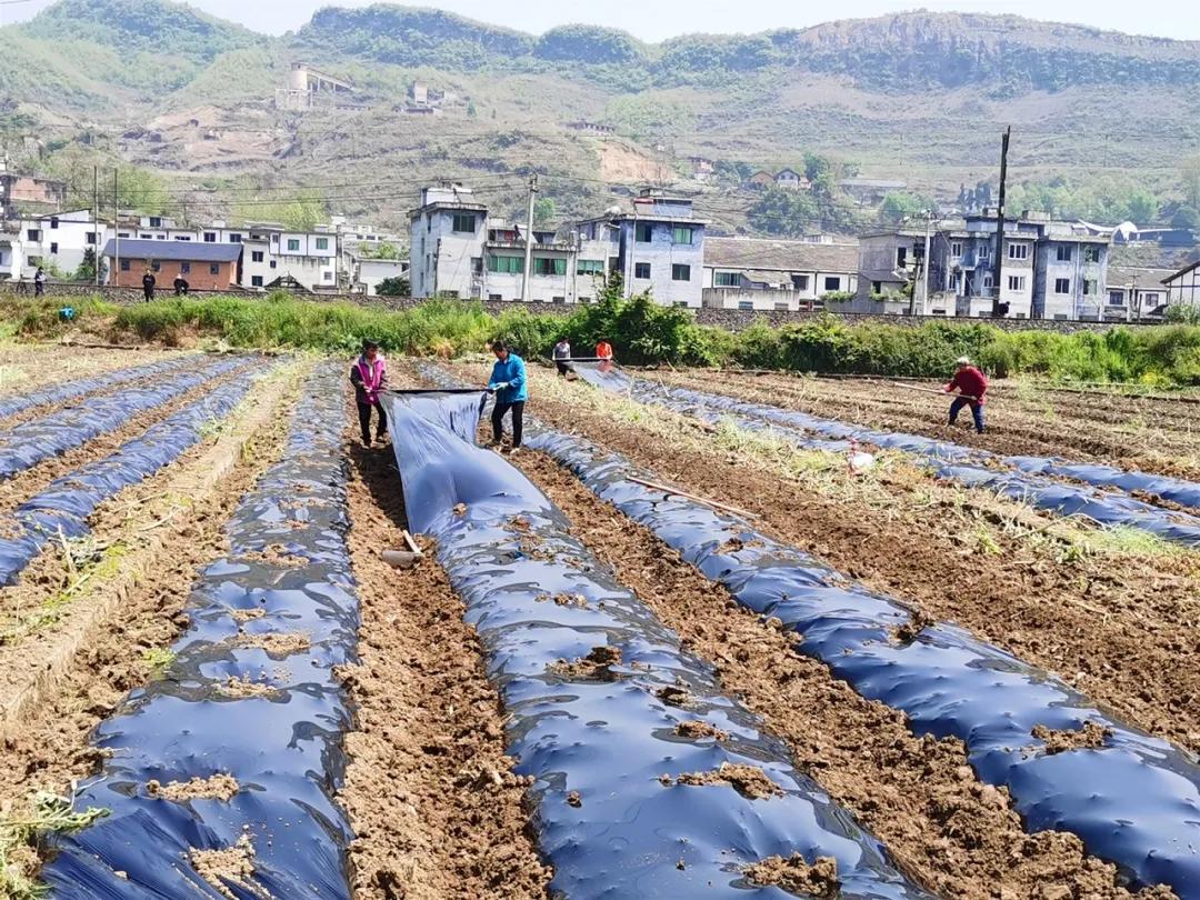 51小长假加班，工资怎么算？这份计算指南请收好！