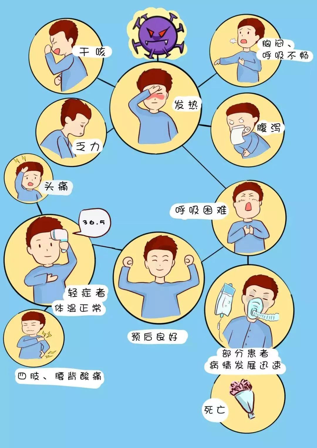 探寻武汉新型冠状病毒的源头,科学追问与全球启示 探寻武汉新型冠状病毒的源头,科学追问与全球启示