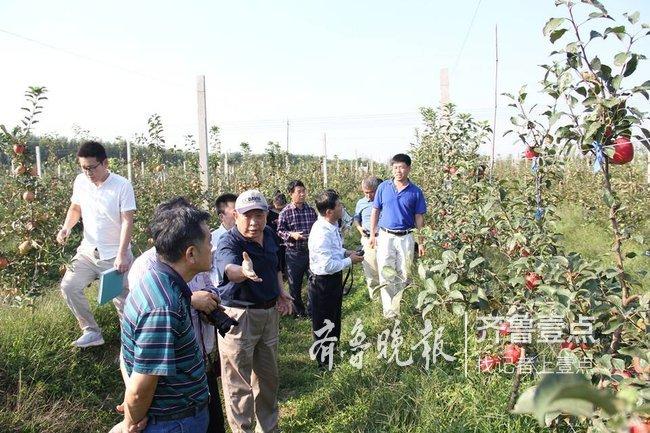 山东炭疽病例详情公布:山东出现炭疽病死亡病例