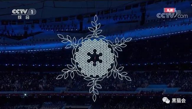 共赴冰雪之约,2022年北京冬奥会开幕式盛典时刻 共赴冰雪之约,2022年北京冬奥会开幕式盛典时刻