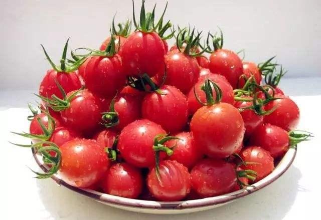 圣女果市场价:圣女果的价格多少钱一斤 圣女果市场价:圣女果的价格多少钱一斤