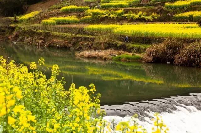 【安徽疫情最新情况公布,安徽疫情最新情况公布消息】 【安徽疫情最新情况公布,安徽疫情最新情况公布消息】