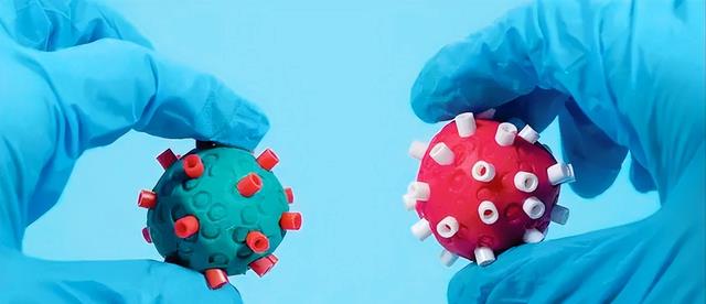 新冠病毒变异株(新冠病毒变异株有多少种) 新冠病毒变异株(新冠病毒变异株有多少种)