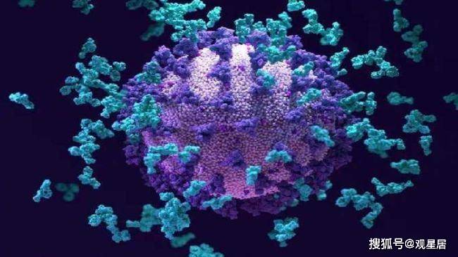 新冠病毒变异株(新冠病毒变异株有多少种) 新冠病毒变异株(新冠病毒变异株有多少种)