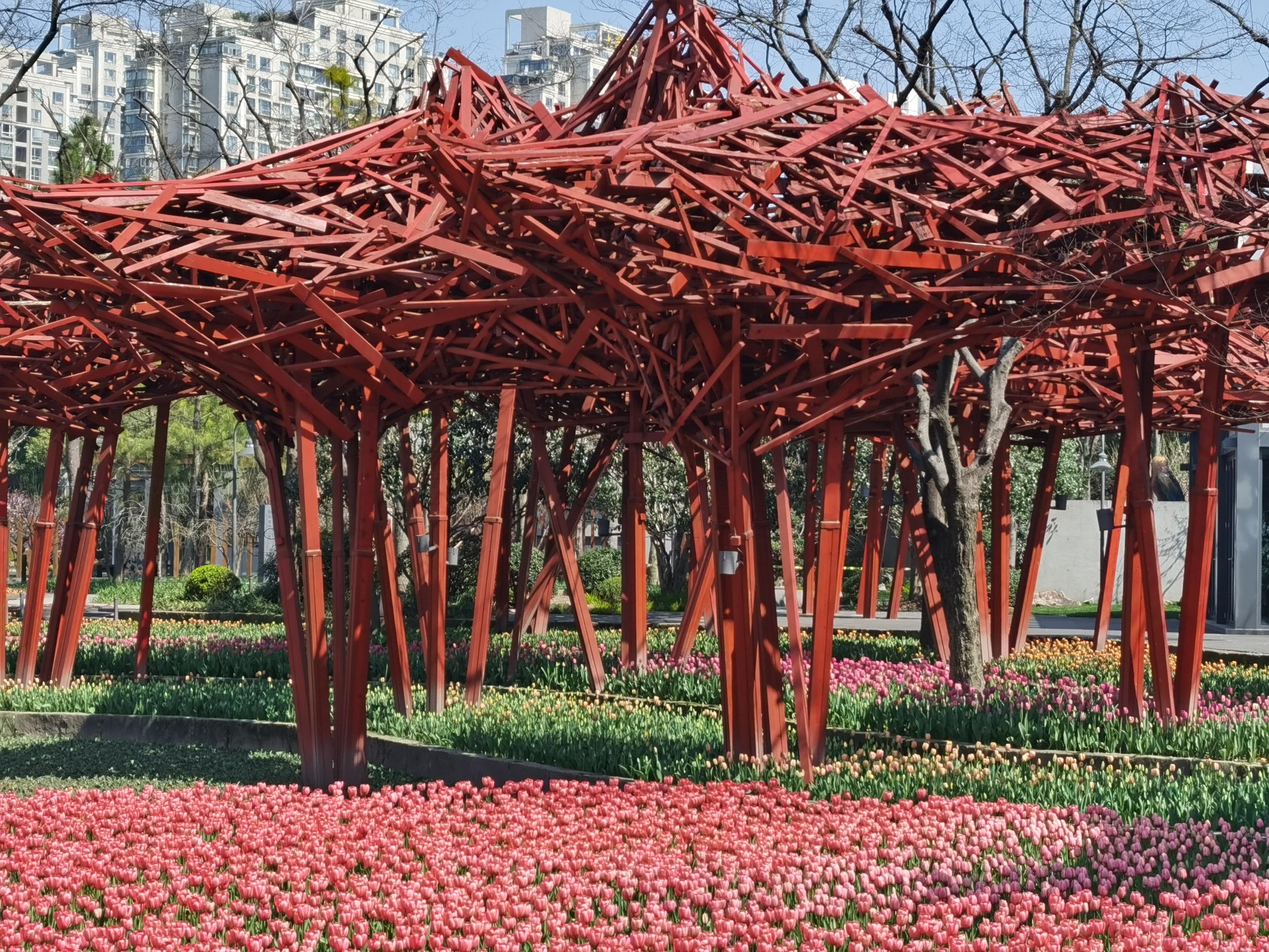 【成都什么时候解封的/成都什么时候解除疫情】 【成都什么时候解封的/成都什么时候解除疫情】