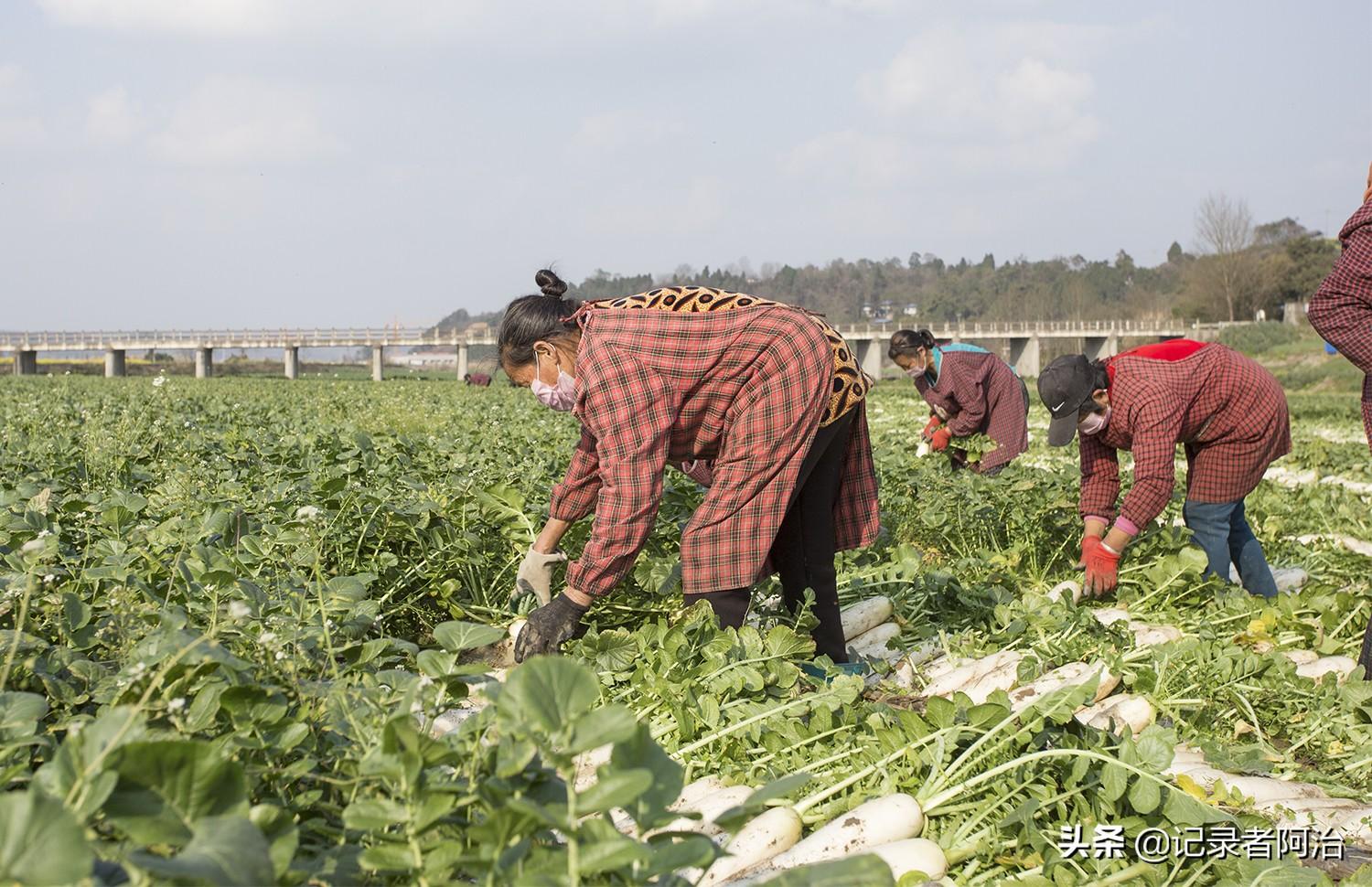 遂宁疫情情况(遂宁疫情报告) 遂宁疫情情况(遂宁疫情报告)