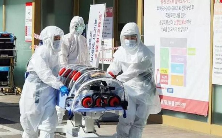 美国新冠确诊病例超556万，疫情肆虐下的挑战与反思