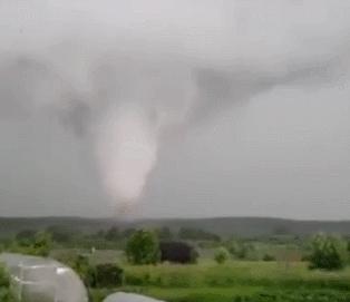 新冠病毒最新消息实时更新:新冠病毒最新消息新动态 新冠病毒最新消息实时更新:新冠病毒最新消息新动态