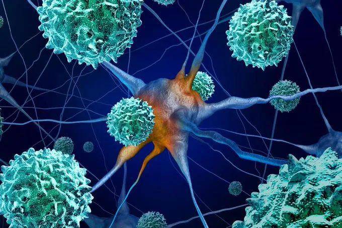 深圳变异毒株delta:深圳变种病毒 深圳变异毒株delta:深圳变种病毒