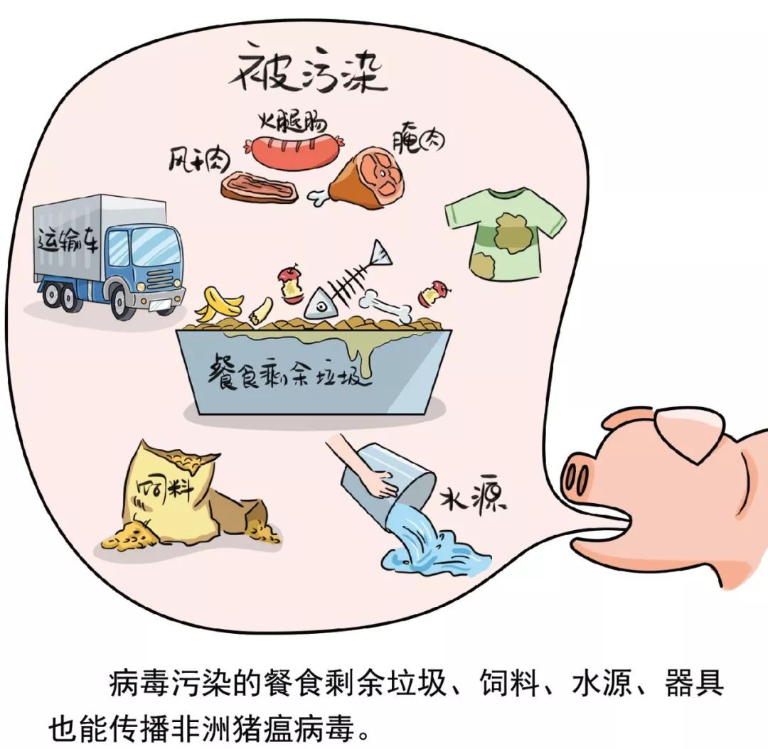 二类传染病有哪些?发生一类传染病时如何处理/二类传染病包括什么 二类传染病有哪些?发生一类传染病时如何处理/二类传染病包括什么