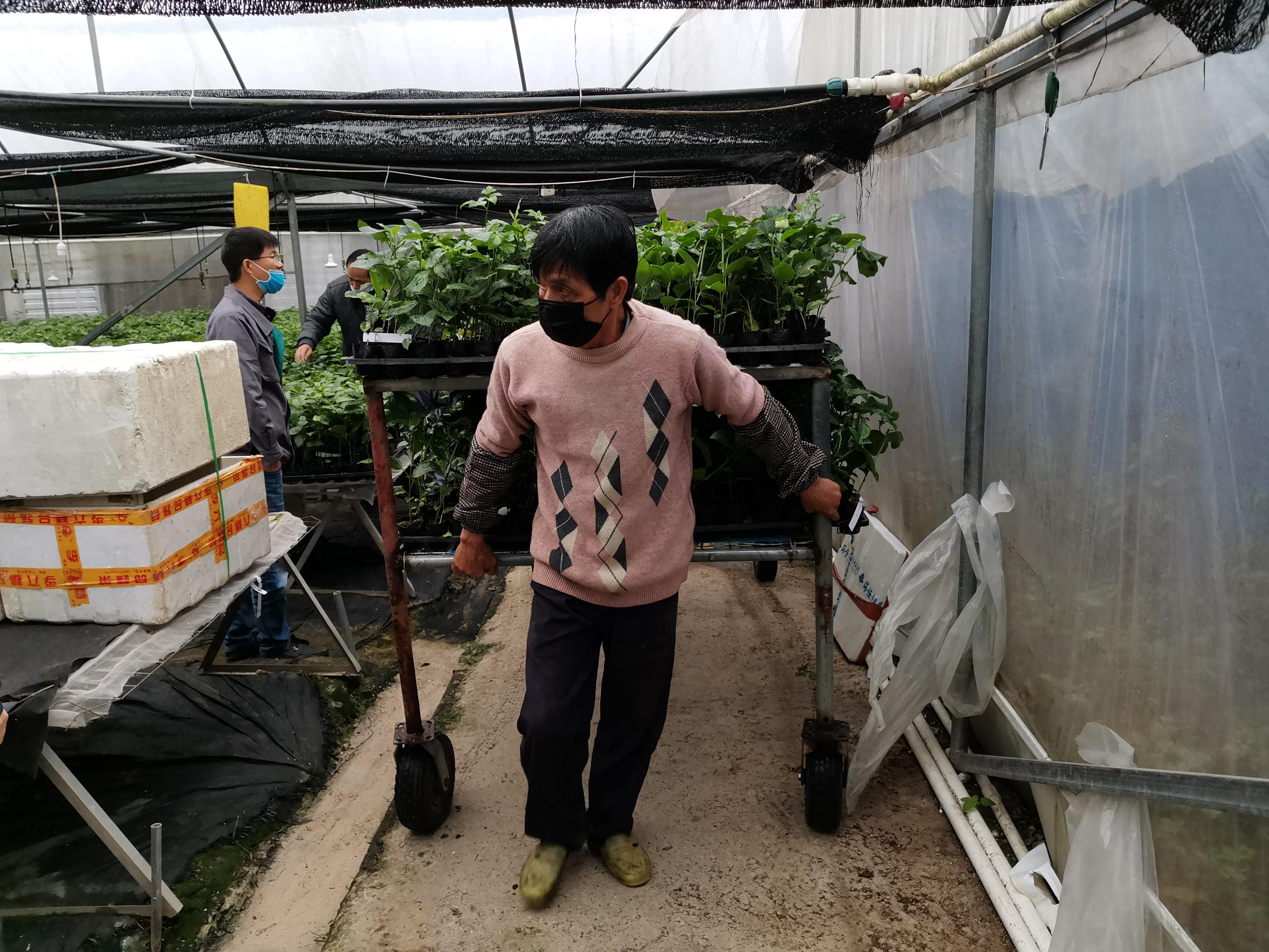 广西发生疫情/广西突发疫情