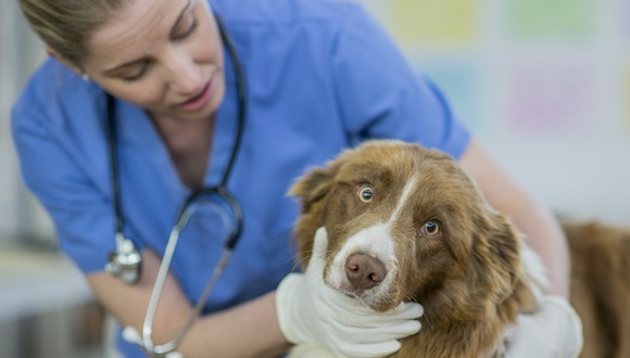 核酸阳性不是确诊吗/核酸检测阳性不是新冠病毒