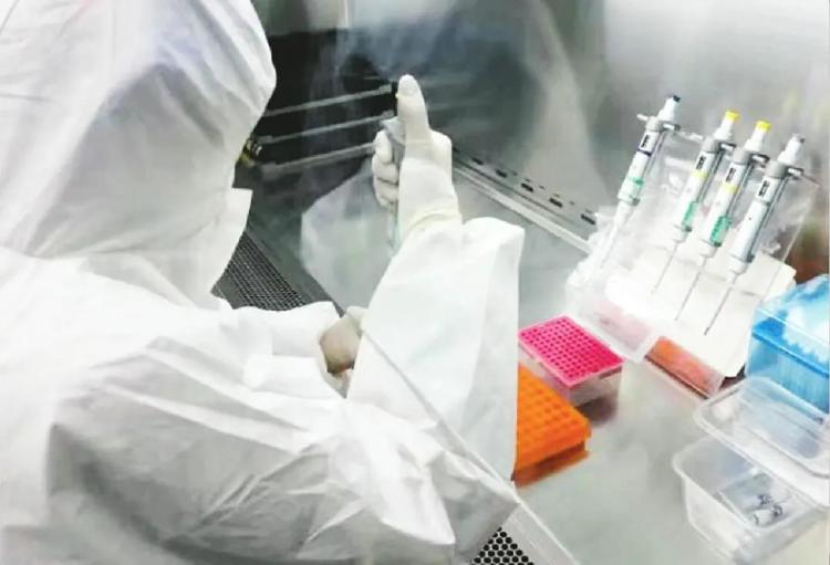 上海免费做核酸(上海免费做核酸检测的医院) 上海免费做核酸(上海免费做核酸检测的医院)