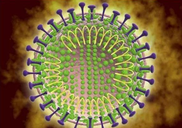 【传播毒株主要是,传播病菌种毒种扩散罪】 【传播毒株主要是,传播病菌种毒种扩散罪】