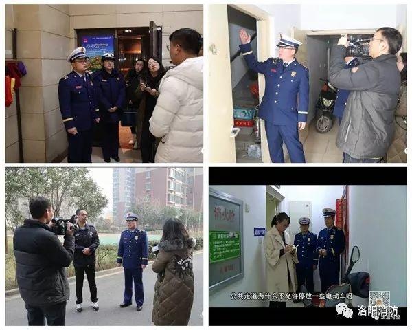 洛阳市交警支队违章查询/洛阳交通违章查询平台 洛阳市交警支队违章查询/洛阳交通违章查询平台