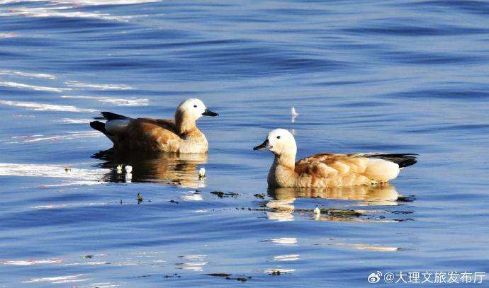 xb18.㏄的简单介绍 xb18.㏄的简单介绍