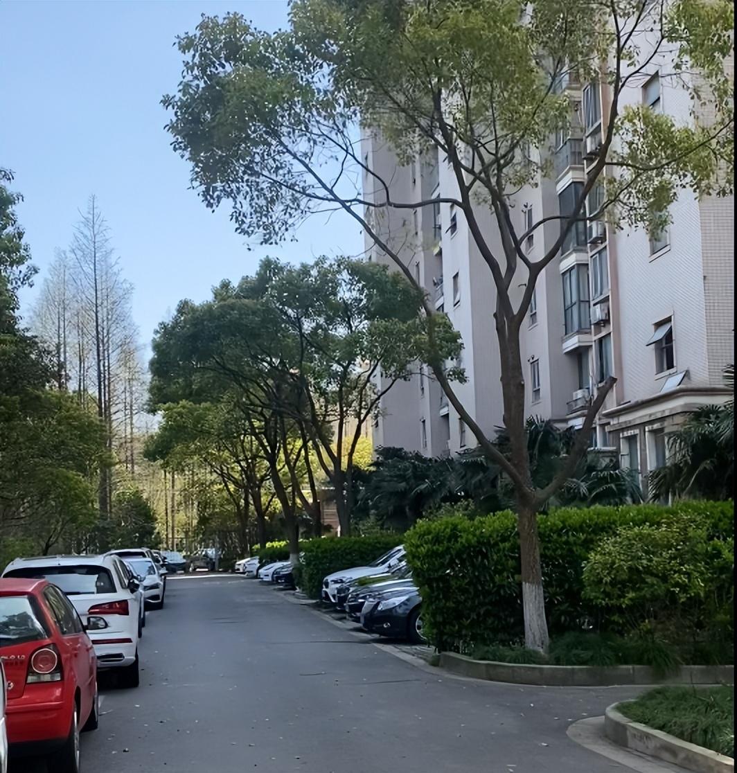 【打工十年买毛坯房,十多年的毛坯房值得买吗】 【打工十年买毛坯房,十多年的毛坯房值得买吗】