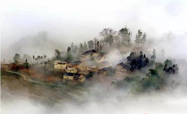 11月23日生日的明星(1123号生日的明星) 11月23日生日的明星(1123号生日的明星)