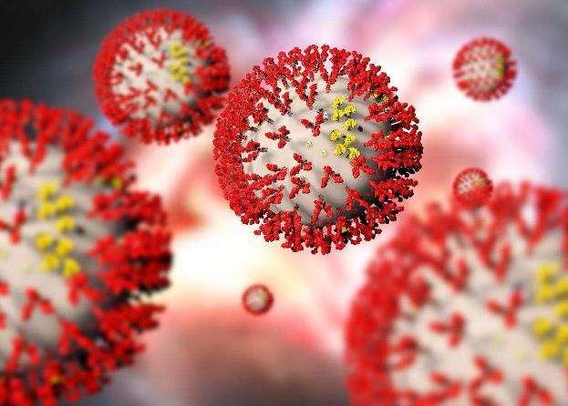 黑龙江封城最新消息今天（黑龙江封城了吗?新型冠状病毒最新消息）