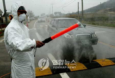 【禽流感疫情在韩国快速蔓延/韩国禽流感死亡人数】 【禽流感疫情在韩国快速蔓延/韩国禽流感死亡人数】