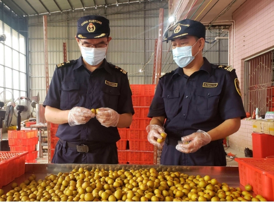 进口水果检出新冠病毒阳性,还能放心吃吗?科学解读来了 进口水果检出新冠病毒阳性,还能放心吃吗?科学解读来了