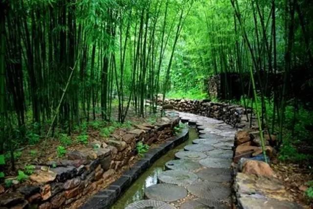 河南再现本土疫情,三例新增病例警示防控不可松懈 河南再现本土疫情,三例新增病例警示防控不可松懈