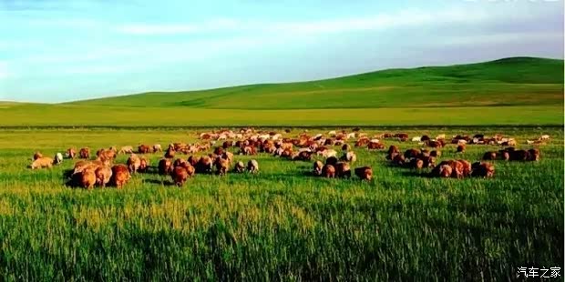 内蒙古旅游论坛,探索草原秘境,分享旅途故事 内蒙古旅游论坛,探索草原秘境,分享旅途故事