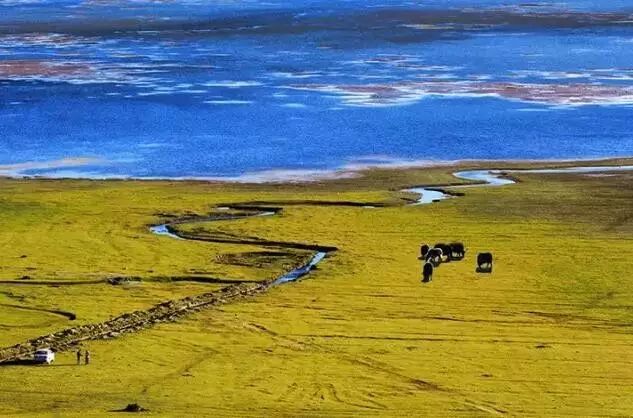 内蒙古旅游论坛,探索草原秘境,分享旅途故事 内蒙古旅游论坛,探索草原秘境,分享旅途故事