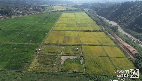 【甫田疫情开始时间/甫田最新新冠】 【甫田疫情开始时间/甫田最新新冠】