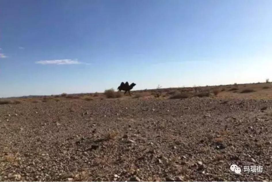 阿拉善,探寻内蒙古西部苍茫大地的地理密码 阿拉善,探寻内蒙古西部苍茫大地的地理密码
