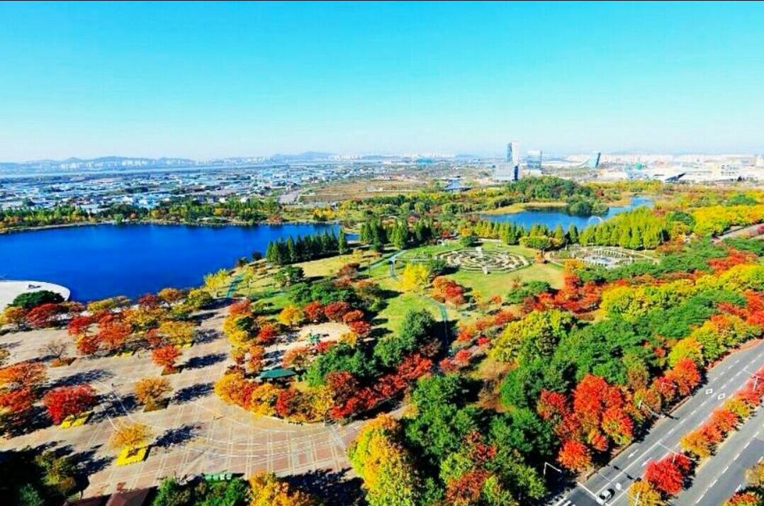 青岛不让进了吗?一场误会背后的城市管理与旅游热 青岛不让进了吗?一场误会背后的城市管理与旅游热