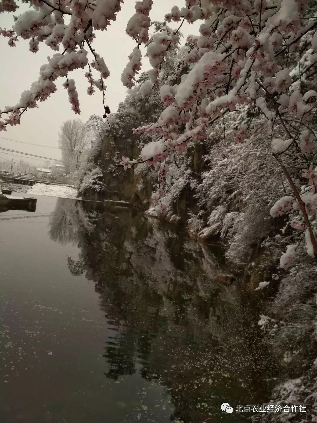 北京清明节政策(北京清明节放几天假) 北京清明节政策(北京清明节放几天假)