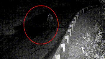 河南郑州暴雨死伤/郑州暴雨死因 河南郑州暴雨死伤/郑州暴雨死因