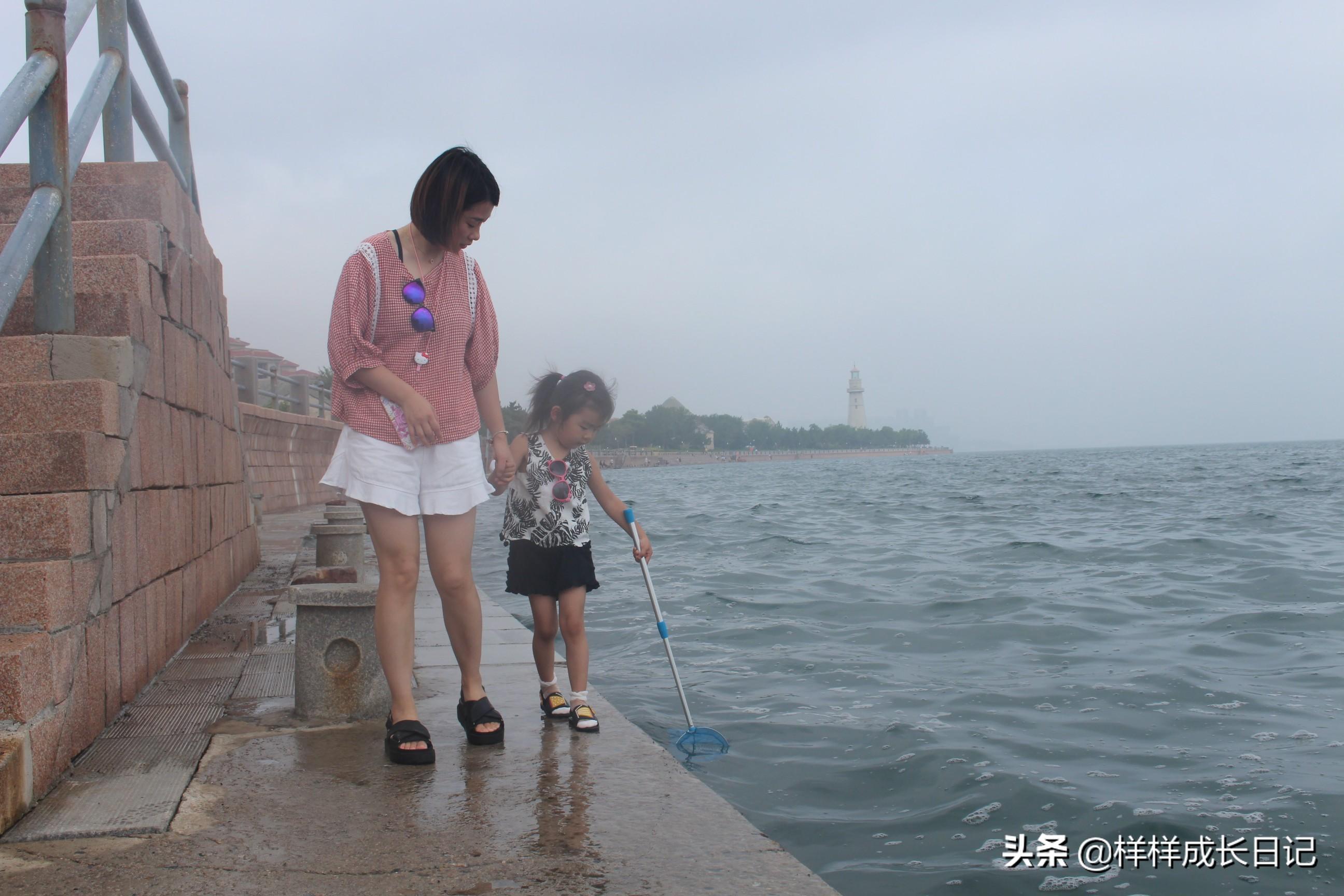 烟台到大连船票带车,自驾跨海的便捷之旅 烟台到大连船票带车,自驾跨海的便捷之旅