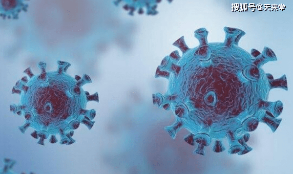 专家:今后疫情出现是大概率事件/疫情再度爆发的概率 专家:今后疫情出现是大概率事件/疫情再度爆发的概率