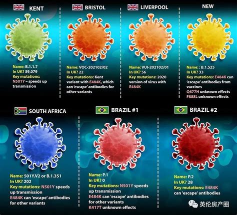 新冠病毒四个变种名称/新冠病毒的变种有哪些 新冠病毒四个变种名称/新冠病毒的变种有哪些