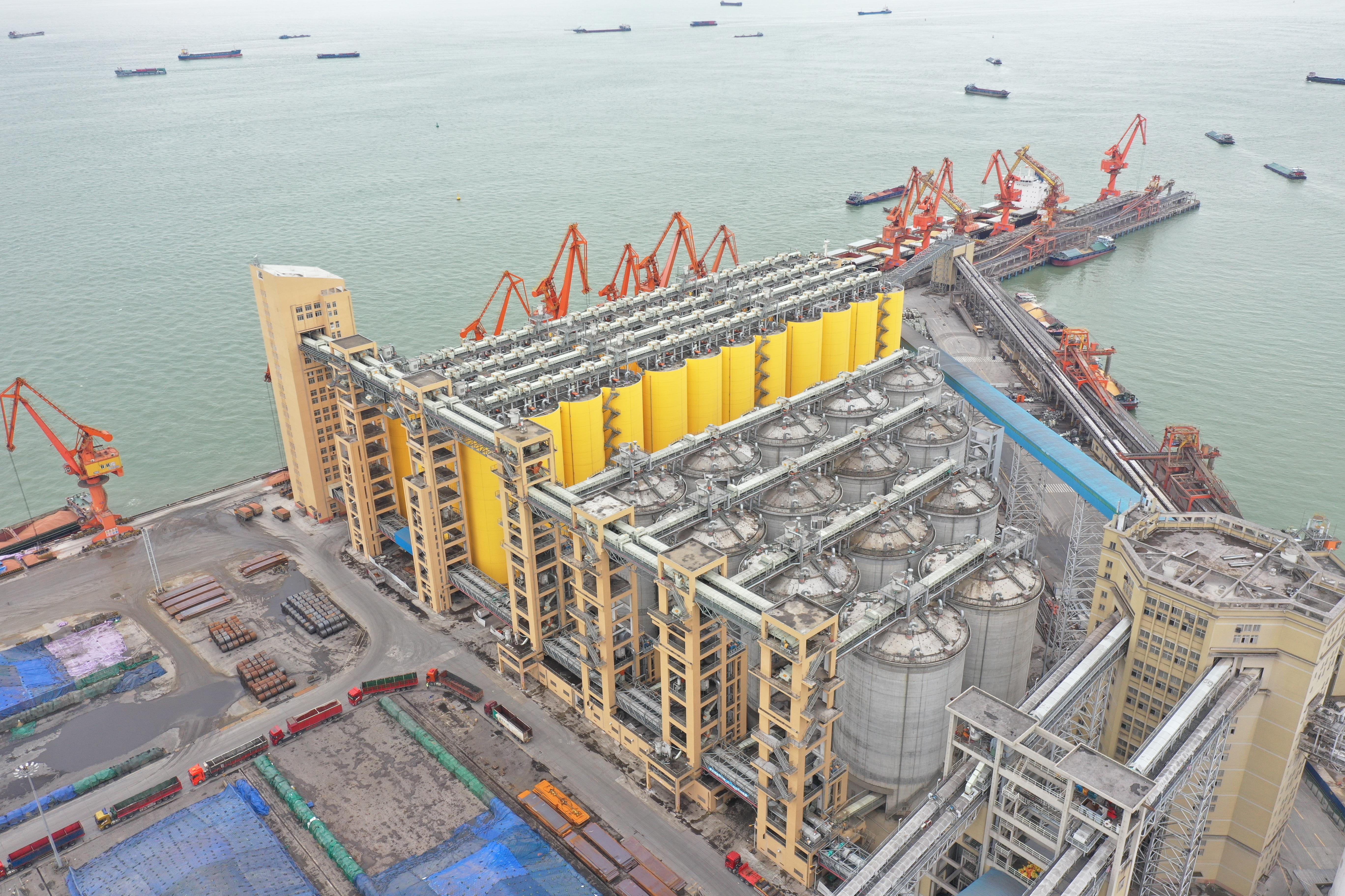 广州疫苗接种人员感染,疫情防控中的警示与思考 广州疫苗接种人员感染,疫情防控中的警示与思考