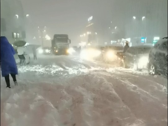 黑龙江下暴雪是真的吗(黑龙江罕见暴雪下了一整夜) 黑龙江下暴雪是真的吗(黑龙江罕见暴雪下了一整夜)